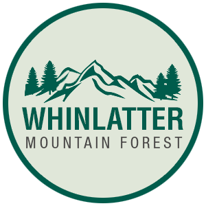 Whinlatter